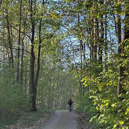 Domki Nad Szelagiem Katno Exterior photo